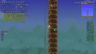 tüm Terraria npc'leri