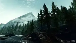 Лучшие моды Skyrim — скриншот леса Скайрима с улучшенными текстурами из мода 2K Textures.