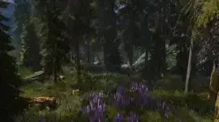 Pinakamahusay na Skyrim mods — isang woodland Skyrim glade, na ginawang mas makulay at masigla ng Skyrim Flora Overhaul mod