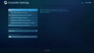 PlayStation-controllerconfiguratie aangevinkt in het instellingenmenu van de Steam-controller