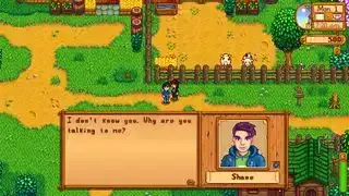 كيفية الرومانسية مع شين في Stardew Valley