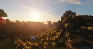 Shaders Minecraft - LUMA, un mouton traversant un champ au coucher du soleil, projetant de longues ombres