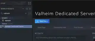 valheim dedikovaný server hosting