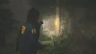 Alan Wake 2 rock rock tree hádanka: Ako získať kód