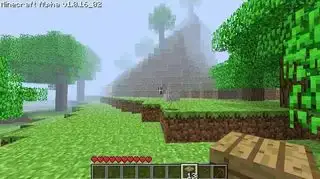 En Minecraft alfa-verden i en græsklædt bakke. En tæt tåge begynder ikke langt fra spilleren, og lige bag den står Herobrine, en karakter, der ligner Steve med hvide øjne.