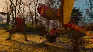 Cele mai bune moduri de la Witcher 3 - Curățare ecran