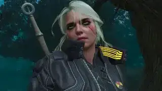 Els millors mods de Witcher 3 el 2024